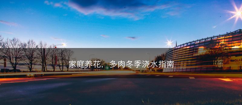 家庭养花，多肉冬季浇水指南(图1)