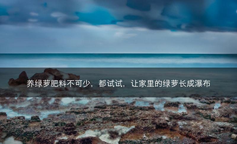 养绿萝肥料不可少,都试试,让家里的绿萝长成瀑布(图1) 养绿萝肥料不可少,都试试,让家里的绿萝长成瀑布(图1)