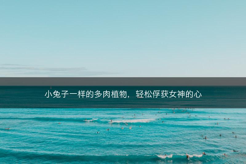 小兔子一样的多肉植物，轻松俘获女神的心(图1)