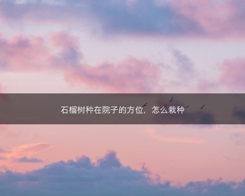 石榴树种在院子的方位，怎么栽种(图1)