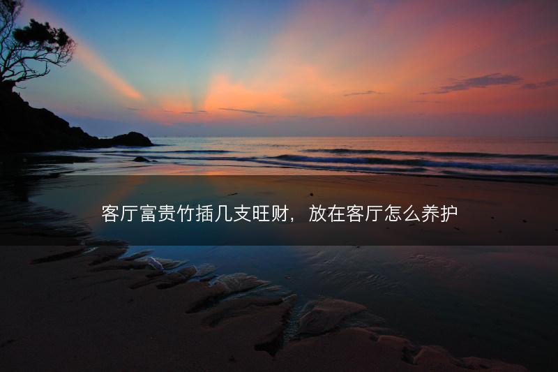 客厅富贵竹插几支旺财，放在客厅怎么养护(图1)