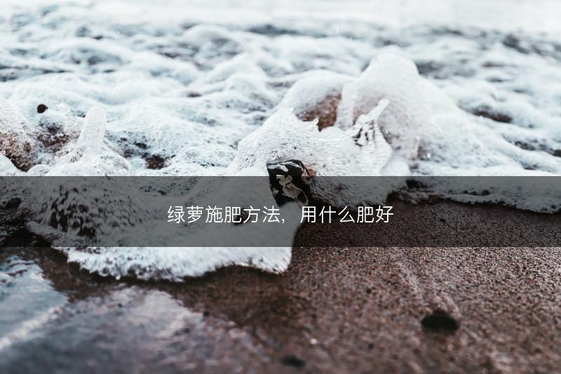 绿萝施肥方法，用什么肥好(图1)