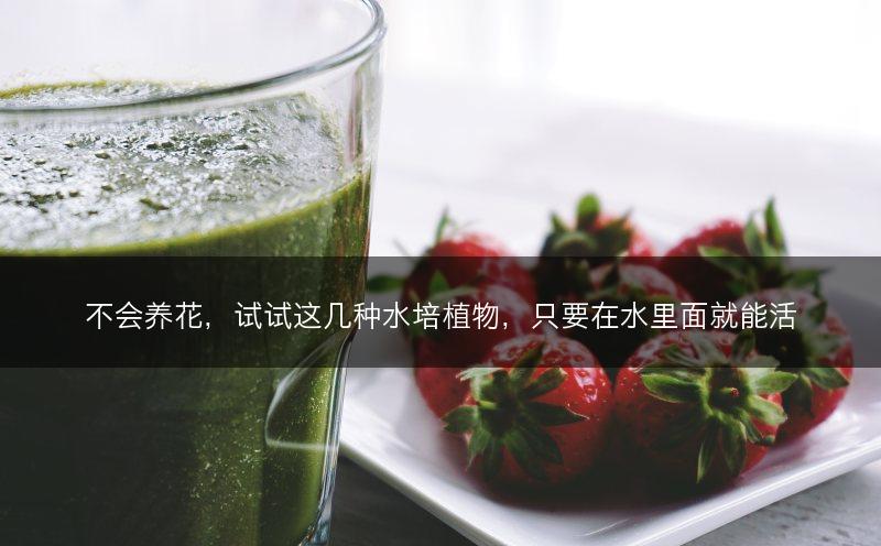 不会养花，试试这几种水培植物，只要在水里面就能活(图1)