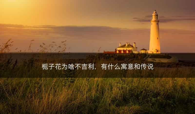栀子花为啥不吉利，有什么寓意和传说(图1)