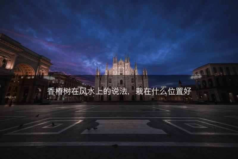 香椿树在风水上的说法，栽在什么位置好(图1)