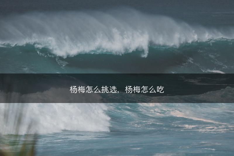 杨梅怎么挑选，杨梅怎么吃(图1)