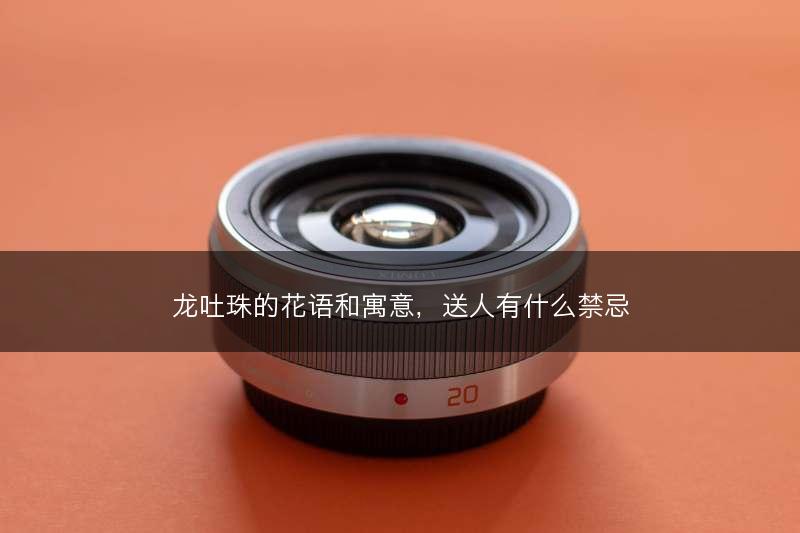 龙吐珠的花语和寓意，送人有什么禁忌(图1)
