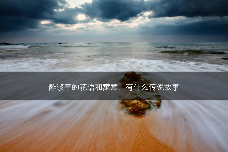 酢浆草的花语和寓意，有什么传说故事(图1)