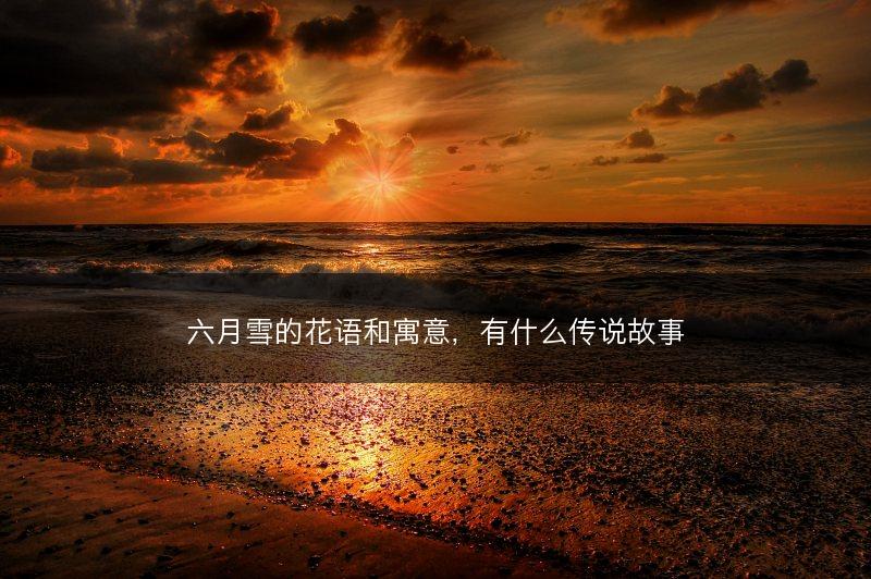 六月雪的花语和寓意，有什么传说故事(图1)