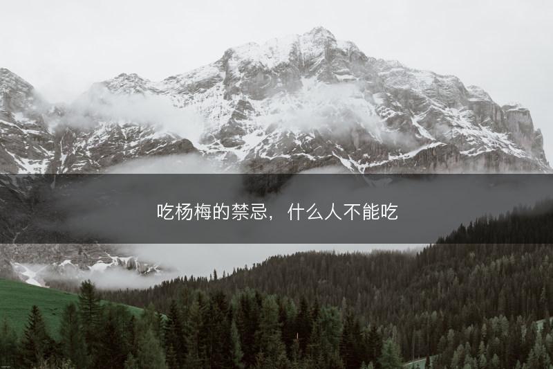 吃杨梅的禁忌,什么人不能吃(图1) 吃杨梅的禁忌,什么人不能吃(图1)