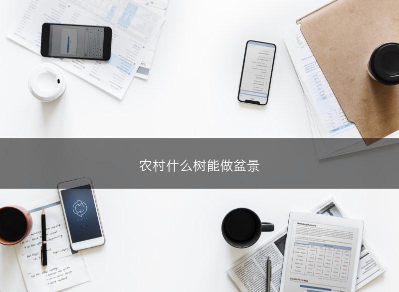 农村什么树能做盆景(图1) 农村什么树能做盆景(图1)