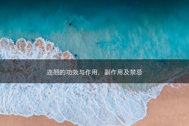 连翘的功效与作用,副作用及禁忌(图1) 连翘的功效与作用,副作用及禁忌(图1)