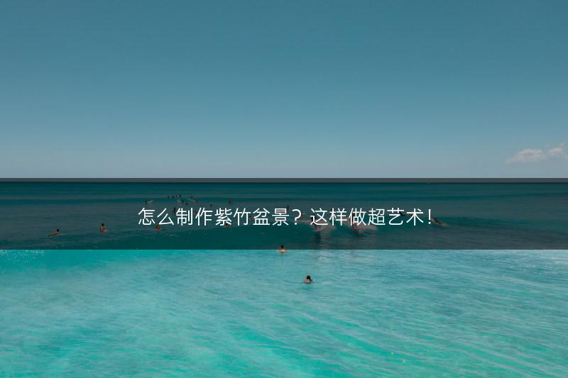 怎么制作紫竹盆景？这样做超艺术！(图1)