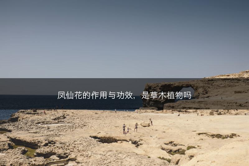 凤仙花的作用与功效，是草木植物吗(图1)