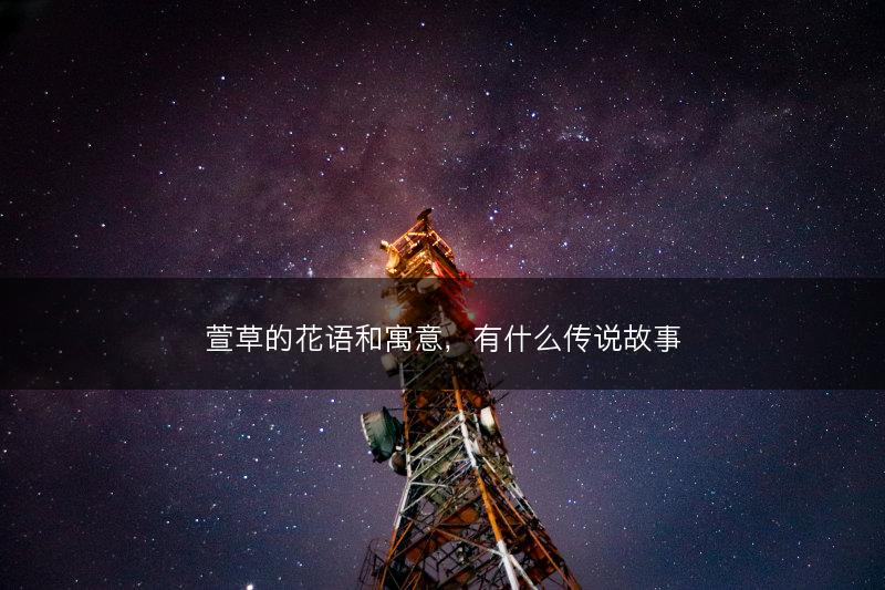 萱草的花语和寓意，有什么传说故事(图1)