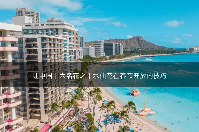 让中国十大名花之十水仙花在春节开放的技巧(图1)