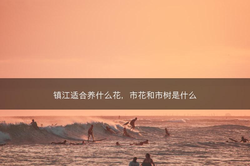 镇江适合养什么花，市花和市树是什么(图1)