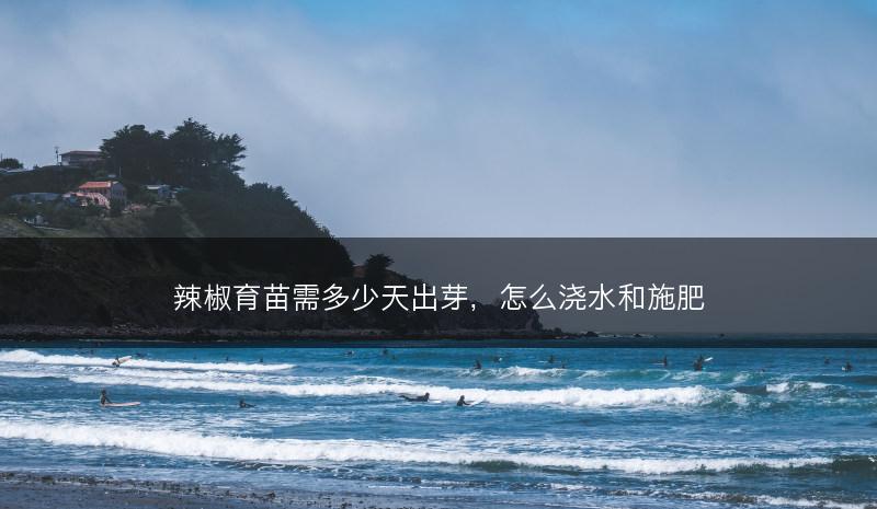 辣椒育苗需多少天出芽，怎么浇水和施肥(图1)