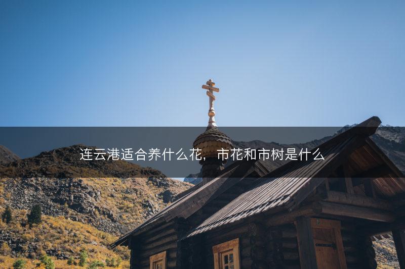 连云港适合养什么花,市花和市树是什么(图1) 连云港适合养什么花,市花和市树是什么(图1)