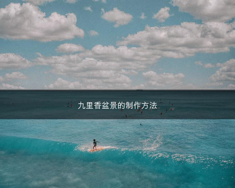 九里香盆景的制作方法(图1)