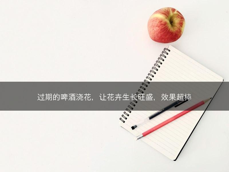 过期的啤酒浇花，让花卉生长旺盛，效果超棒(图1)