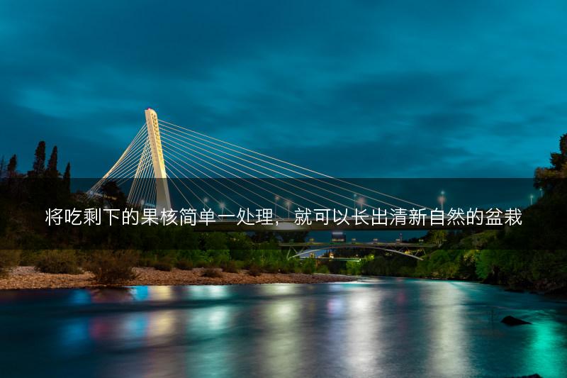 将吃剩下的果核简单一处理,就可以长出清新自然的盆栽(图1) 将吃剩下的果核简单一处理,就可以长出清新自然的盆栽(图1)