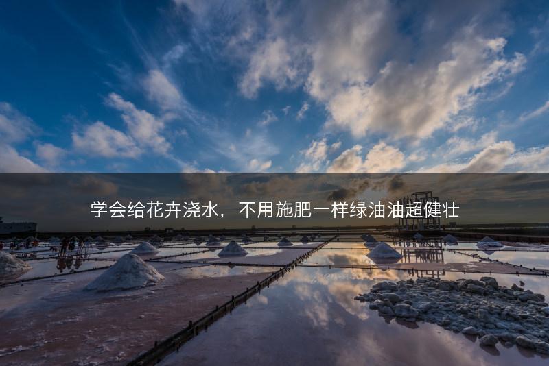 学会给花卉浇水，不用施肥一样绿油油超健壮(图1)