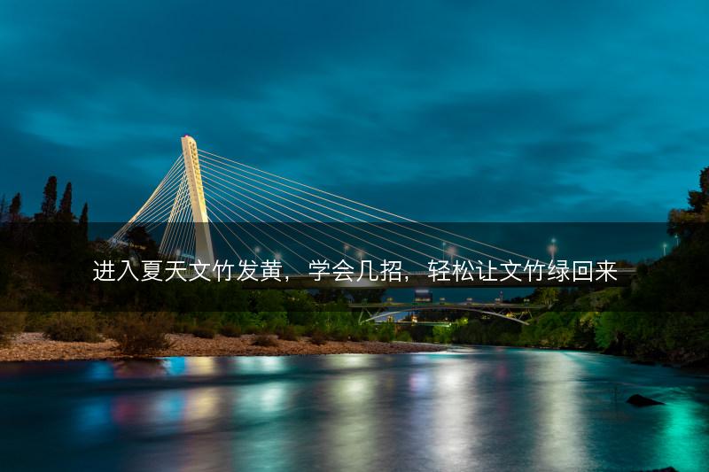 进入夏天文竹发黄,学会几招,轻松让文竹绿回来(图1) 进入夏天文竹发黄,学会几招,轻松让文竹绿回来(图1)