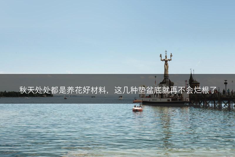 秋天处处都是养花好材料，这几种垫盆底就再不会烂根了(图1)