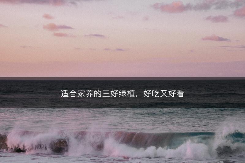 适合家养的三好绿植，好吃又好看(图1)