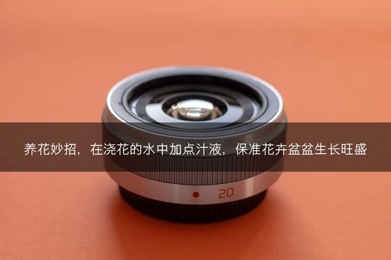 养花妙招，在浇花的水中加点汁液，保准花卉盆盆生长旺盛(图1)