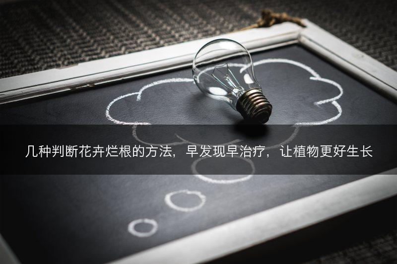 几种判断花卉烂根的方法,早发现早治疗,让植物更好生长(图1) 几种判断花卉烂根的方法,早发现早治疗,让植物更好生长(图1)