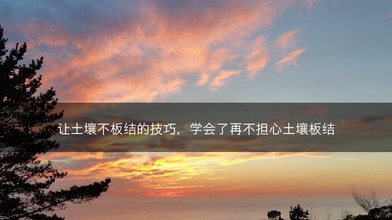 让土壤不板结的技巧,学会了再不担心土壤板结(图1) 让土壤不板结的技巧,学会了再不担心土壤板结(图1)