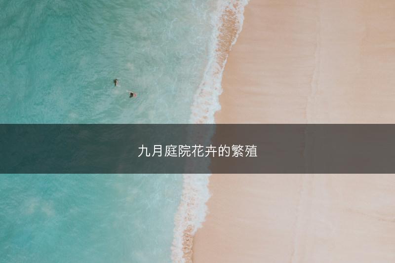 九月庭院花卉的繁殖(图1)