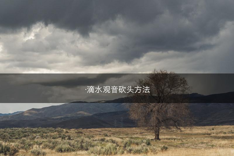 ·滴水观音砍头方法(图1)