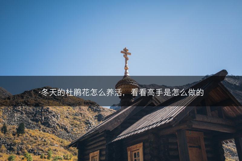 ·冬天的杜鹃花怎么养活,看看高手是怎么做的(图1) ·冬天的杜鹃花怎么养活,看看高手是怎么做的(图1)