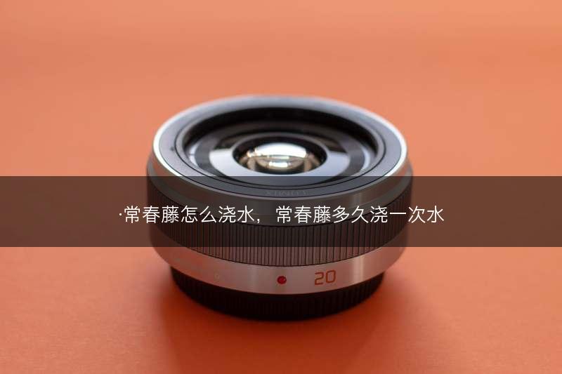 ·常春藤怎么浇水，常春藤多久浇一次水(图1)