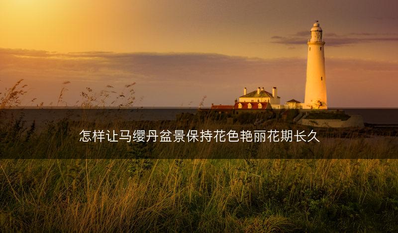 怎样让马缨丹盆景保持花色艳丽花期长久(图1) 怎样让马缨丹盆景保持花色艳丽花期长久(图1)