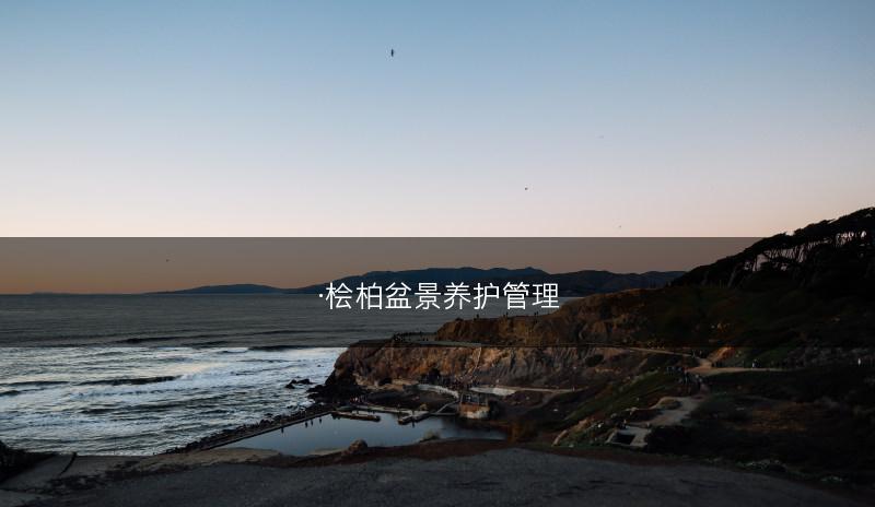 ·桧柏盆景养护管理(图1)