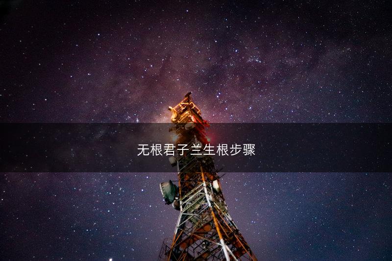 无根君子兰生根步骤(图1)