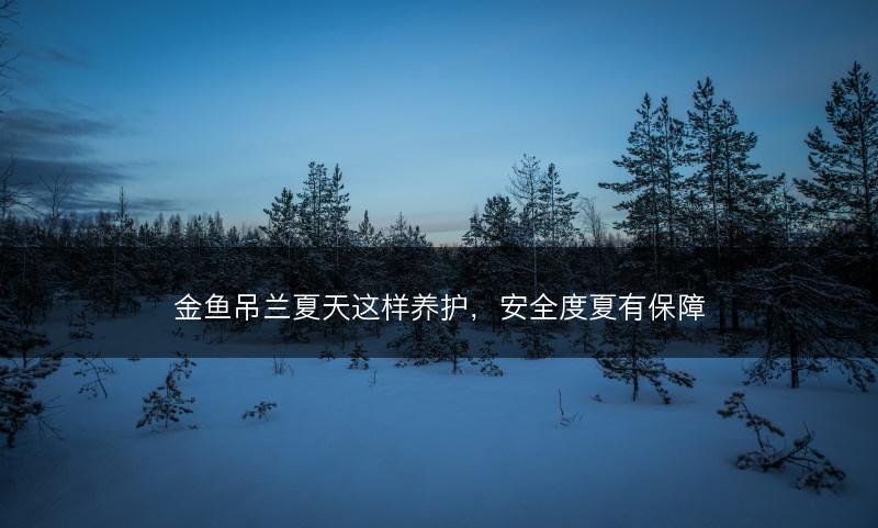 金鱼吊兰夏天这样养护，安全度夏有保障(图1)