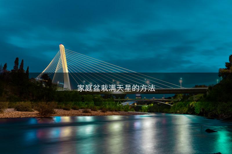 家庭盆栽满天星的方法(图1) 家庭盆栽满天星的方法(图1)