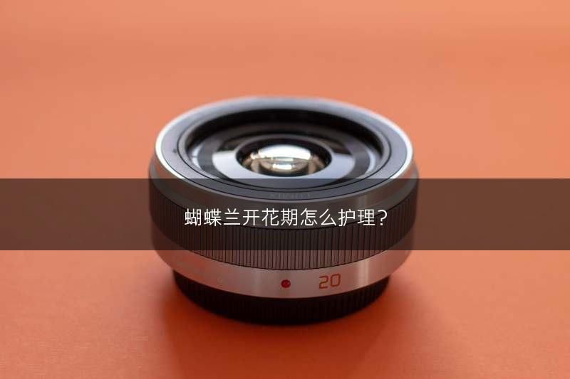 蝴蝶兰开花期怎么护理?(图1) 蝴蝶兰开花期怎么护理?(图1)