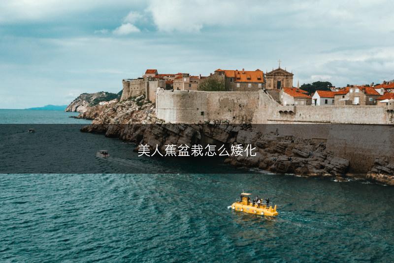 美人蕉盆栽怎么矮化(图1)