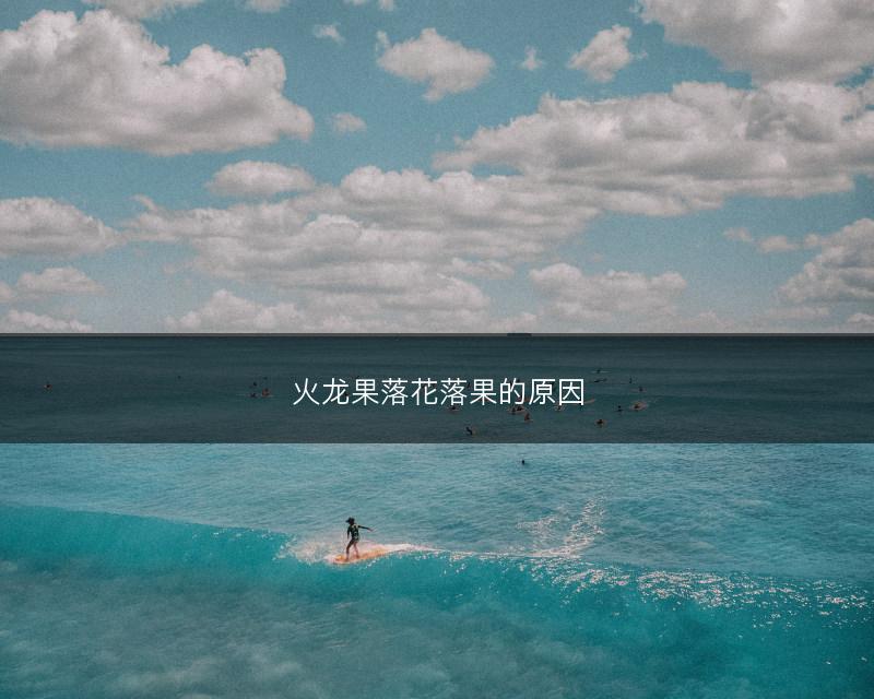 火龙果落花落果的原因(图1)