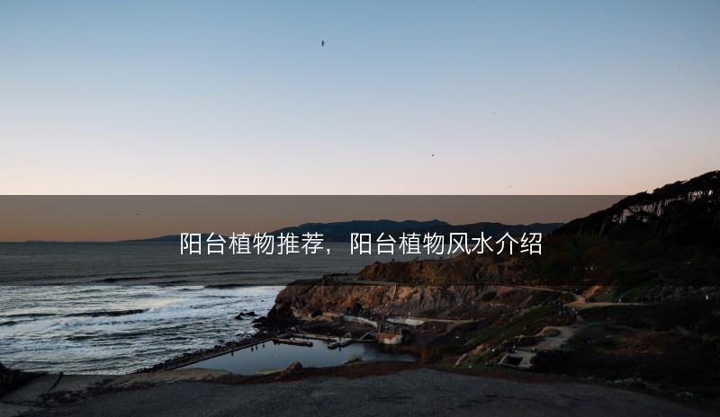 阳台植物推荐，阳台植物风水介绍(图1)