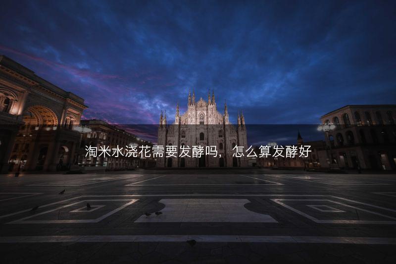淘米水浇花需要发酵吗,怎么算发酵好(图1) 淘米水浇花需要发酵吗,怎么算发酵好(图1)
