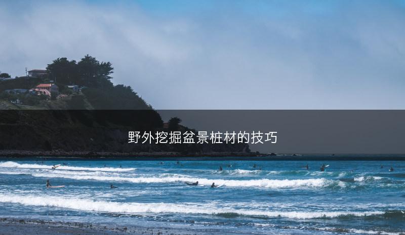 野外挖掘盆景桩材的技巧(图1) 野外挖掘盆景桩材的技巧(图1)