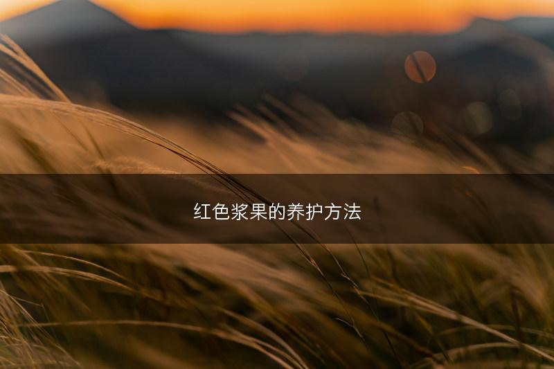 红色浆果的养护方法(图1)