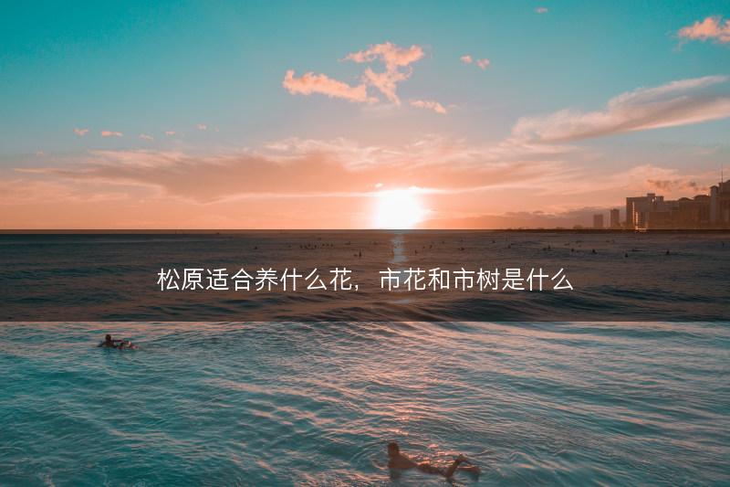 松原适合养什么花，市花和市树是什么(图1)
